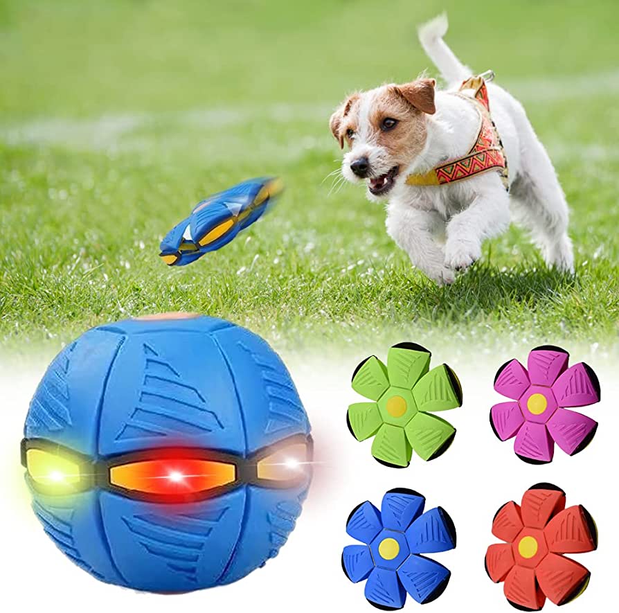 Happy Paws, Dog Frisbee