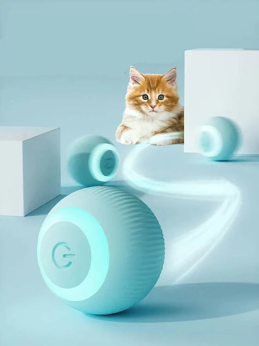 Happy Paws, Interactive Ball