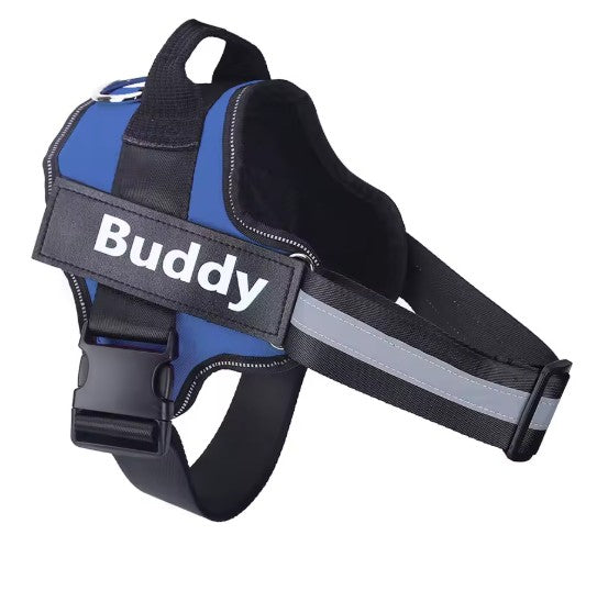 Personalised Dog Harness