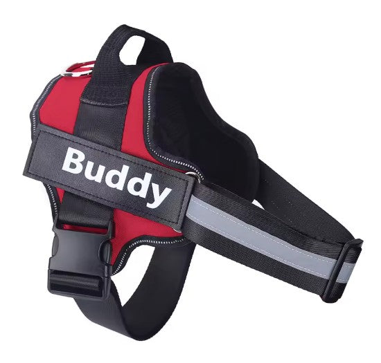 Personalised Dog Harness