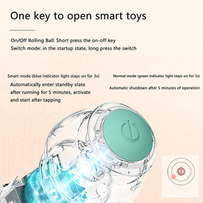 Happy Paws, Interactive Ball
