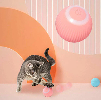 Happy Paws, Interactive Ball