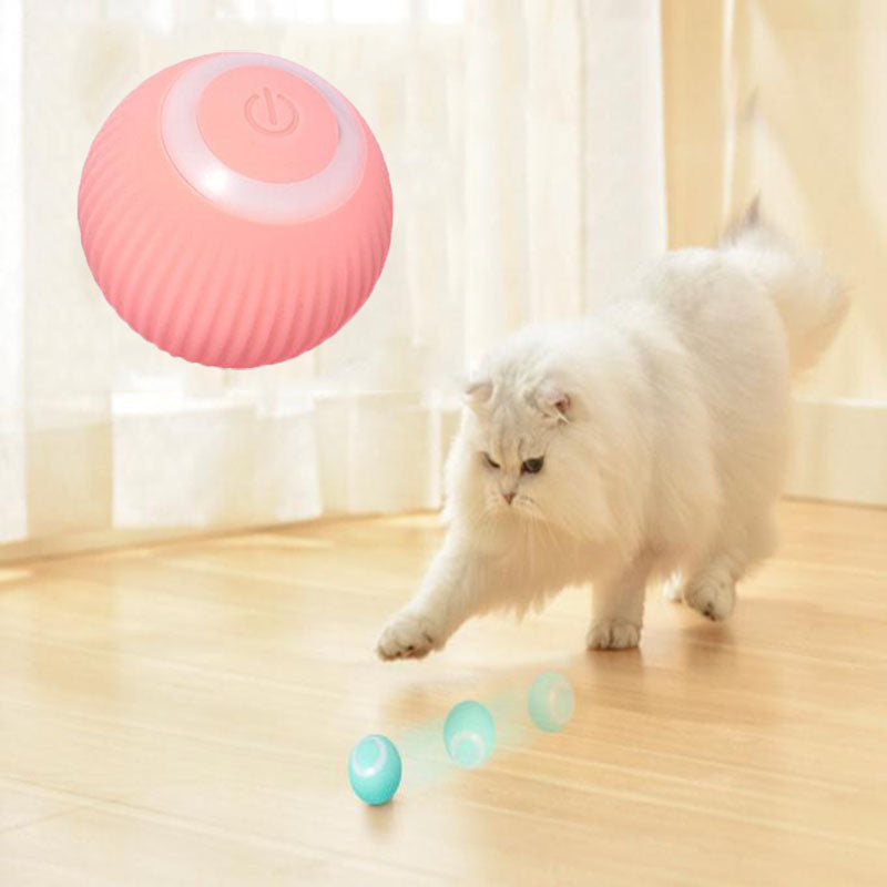 Happy Paws, Interactive Ball