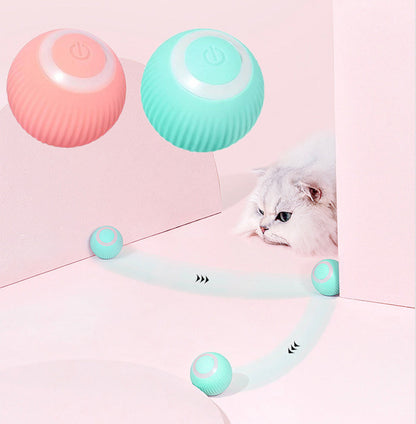 Happy Paws, Interactive Ball