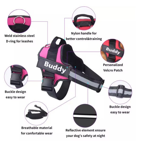 Personalised Dog Harness