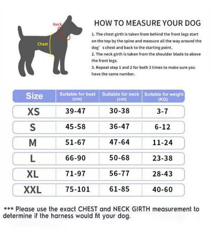 Personalised Dog Harness